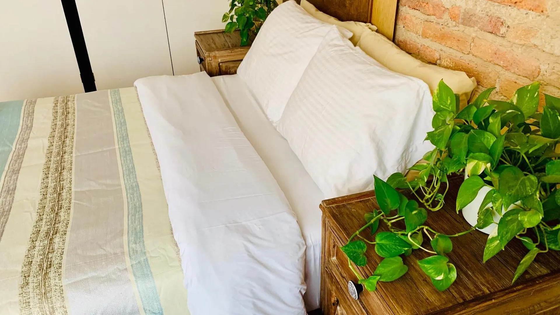 Casa Bonita Guest House Guadalajara Mexico