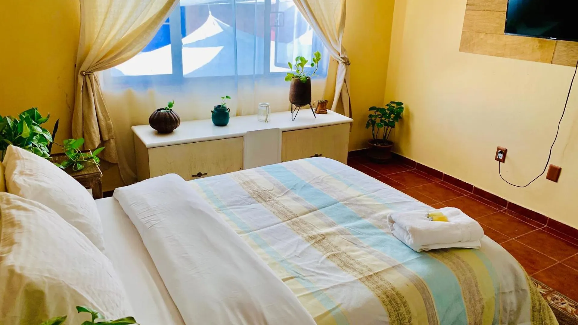 Casa Bonita Guest House Guadalajara