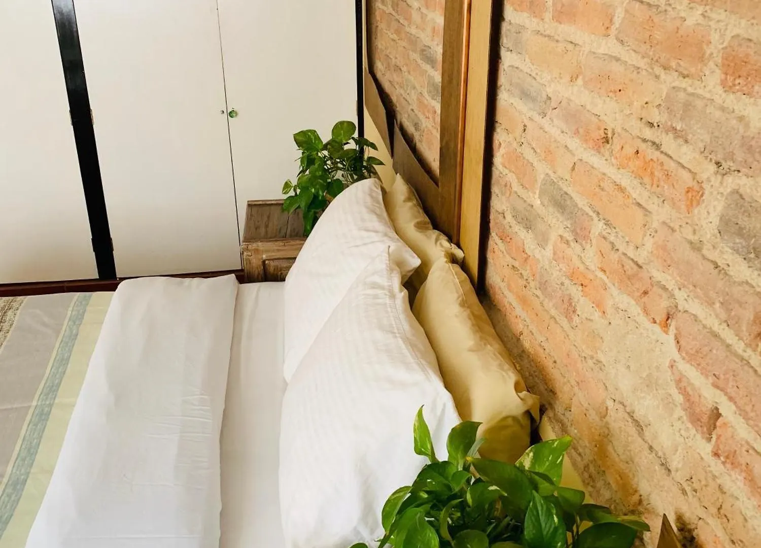 Casa Bonita Guest House Guadalajara