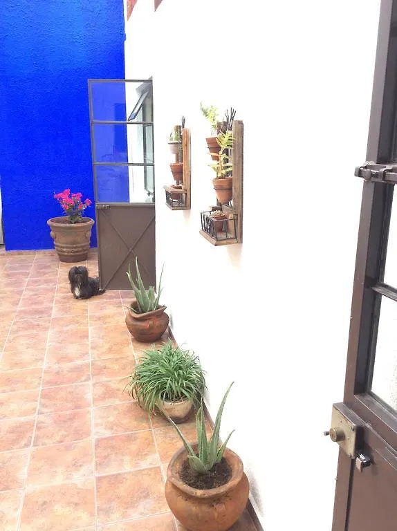 Casa Bonita Guest House Guadalajara Mexico
