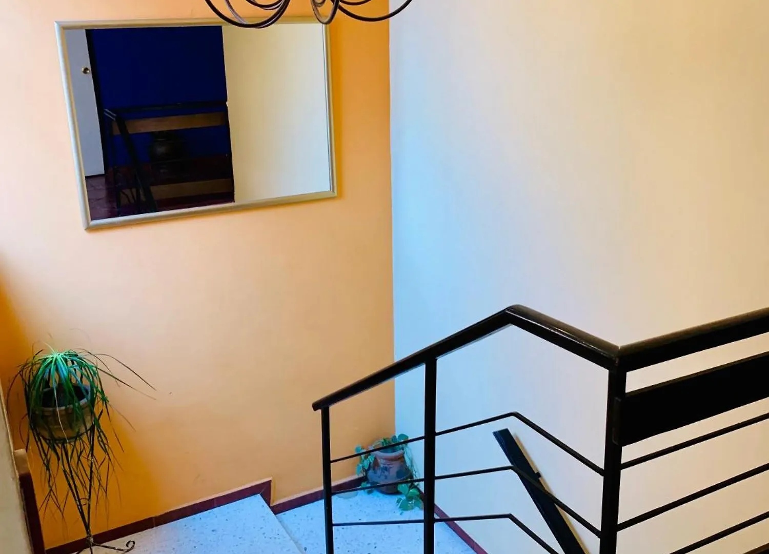 Casa Bonita Guest House Guadalajara