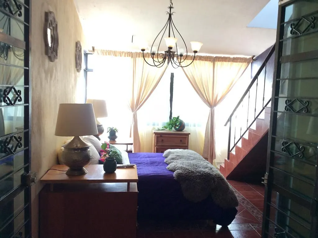 Casa Bonita Guest House Guadalajara